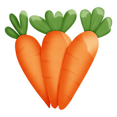 Drei Orangen Karotten Wasserfarbe Illustration,Ostern 