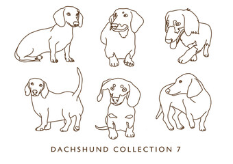 Dachshund Weiner Dog Illustration Collection 7 - Outlines - Many Poses	
