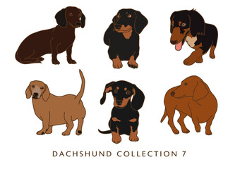 Dachshund Weiner Dog Illustration Collection 7 - In Color - Many Poses	
