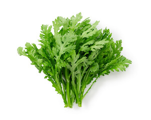 Garland chrysanthemum placed against a white background. Garland chrysanthemum is an Asian vegetable.