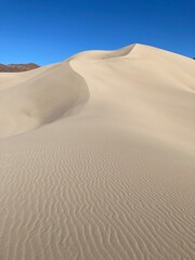 sand dunes in the desert