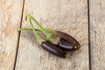 Baby organic purple eggplant heap