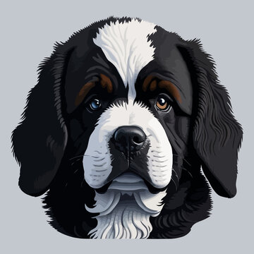 recommend clip art: Cute illustration of Newfoundland dog isolated on a plain background. Dog portrait.