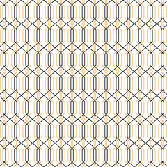 Luxury Geometric Ornamental Fashion Pattern Texture Background VECTOR