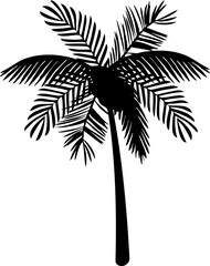 Black Palm Tree Silhouette