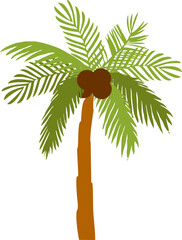 Coconut Tree Illustration 