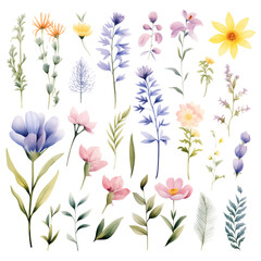 Fototapeta premium clipart bundle watercolor summer flora ,flower on summer theme, on transparent background 