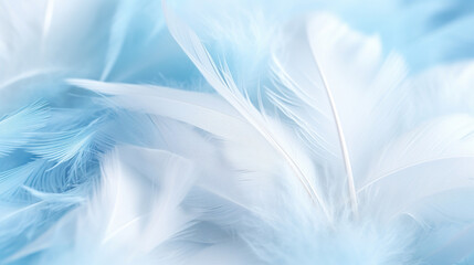 A close-up view of white feathers with a gentle blue tint, emphasizing soft texture.