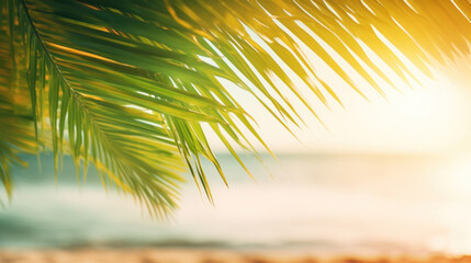 Sunlit tropical palm leaves with a golden sunlight background, evoking a warm, vacation vibe.