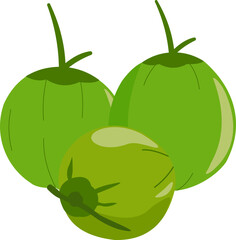 Fresh Coconuts Illustration
