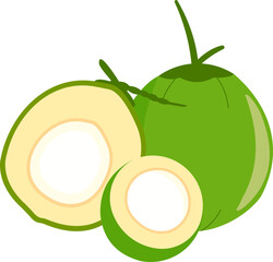 Fresh Coconuts Illustration