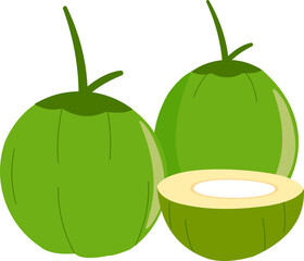 Fresh Coconuts Illustration