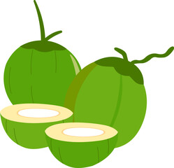 Fresh Coconuts Illustration