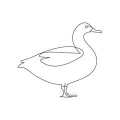 Duck continuous one line drawing  outline vector illustration

