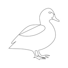 Duck continuous one line drawing  outline vector illustration

