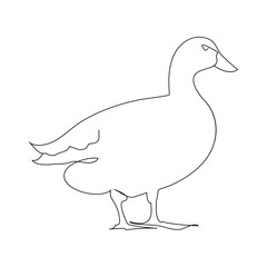 Duck continuous one line drawing  outline vector illustration
