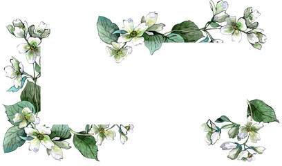 Watercolor hand painted jasmine frame. PNG transparent background - obrazy, fototapety, plakaty