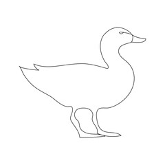 Duck continuous one line drawing  outline vector illustration
