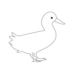 Duck continuous one line drawing  outline vector illustration
