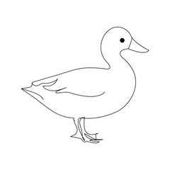 Duck continuous one line drawing  outline vector illustration
