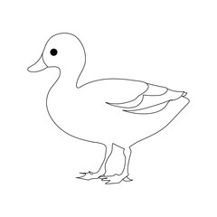 Duck continuous one line drawing  outline vector illustration
