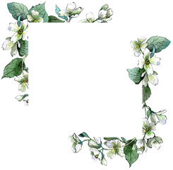 Watercolor hand painted jasmine frame. PNG transparent background