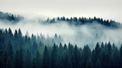 Papier Peint photo Lavable Forêt dans le brouillard A serene monochrome landscape of a dense forest enveloped in mist, conveying a mystical ambiance.