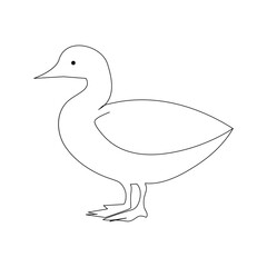 Duck continuous one line drawing  outline vector illustration
