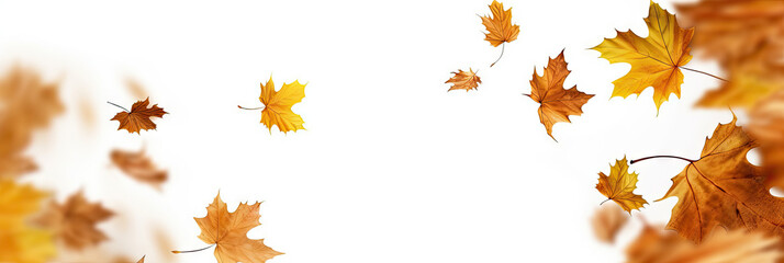 falling autumn leaves isolated on white background