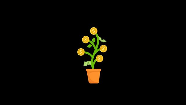 animated investment tree video, motion graphic tree growing money. investing money invests capital for the future