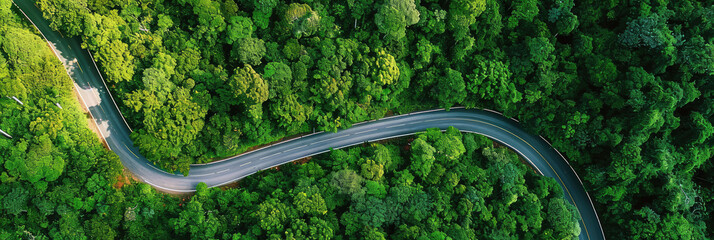 Road in the middle of the forest , road curve construction up to mountain, 