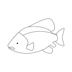 Fish continuous one line drawing  outline vector illustration