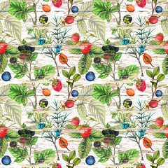 Seamless botanical hand drawn pattern on old wooden background - 716357930