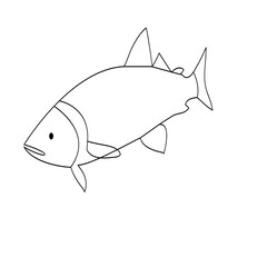 Fish continuous one line drawing  outline vector illustration