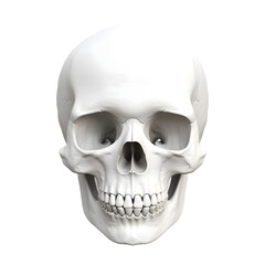 3D Rendering of a Human Skull on Transparent Background - Ai Generated