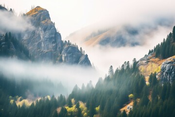 fog rolling through a mountain valley with pine trees - Powered by Adobe