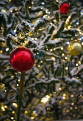 Branches of a Christmas tree in the snow. The branches of the fir tree are decorated with red and yellow balls and glowing lights of garlands.