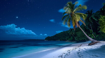 Beautiful night paradise landscape. 
