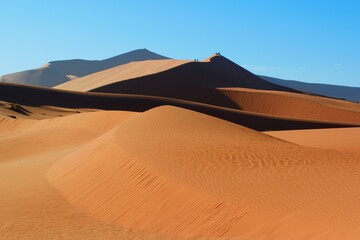 Fototapeta na wymiar Namib-Naukluft national park, desert landscape, the highest world dunas.