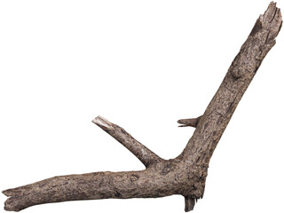 Obraz premium Dry branch tree naturally.