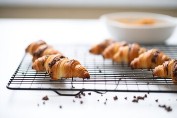 batch of mini chocolate croissants on a cooling wire - obrazy, fototapety, plakaty