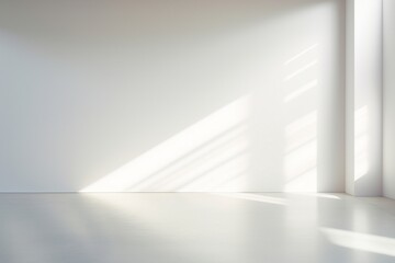 Empty room with white walls and floor and sunlight. 