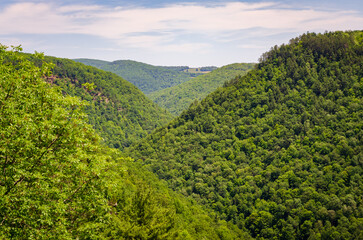 Obraz premium Pine Creek Gorge, or the The Grand Canyon of Pennsylvania, USA