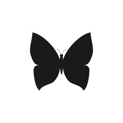 Butterfly icon isolated on transparent background