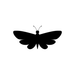 Butterfly icon isolated on transparent background