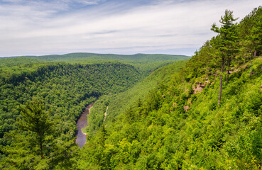 Obraz premium Pine Creek Gorge, or the The Grand Canyon of Pennsylvania, USA