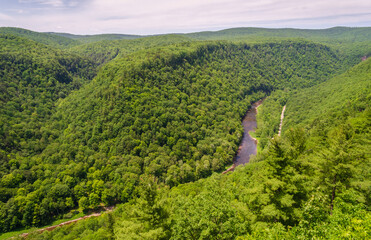 Obraz premium Pine Creek Gorge, or the The Grand Canyon of Pennsylvania, USA