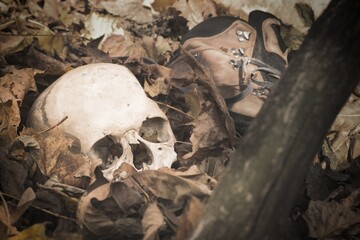 Human scull and boots buried in the forest, crime scene concept