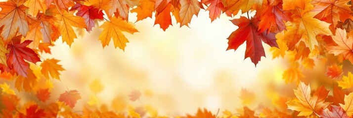 Naklejka na ściany i meble Autumn Frame Colorful Marple Leaves, Banner Image For Website, Background, Desktop Wallpaper