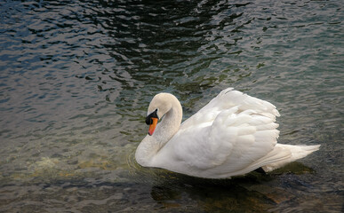 Morris Arboretum & Gardens of the University of Pennsylvania